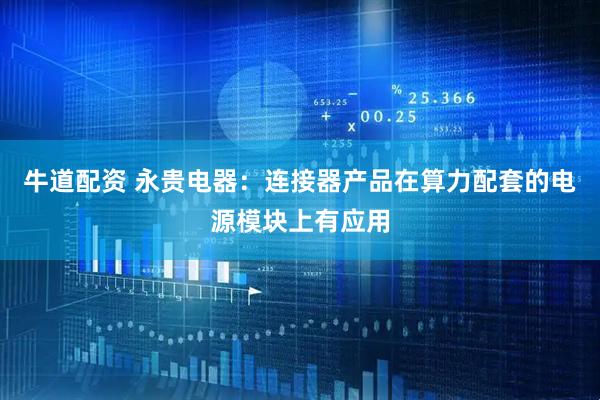 牛道配资 永贵电器：连接器产品在算力配套的电源模块上有应用
