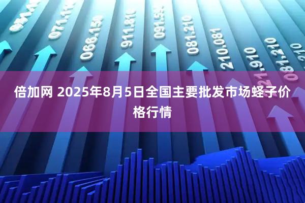 倍加网 2025年8月5日全国主要批发市场蛏子价格行情
