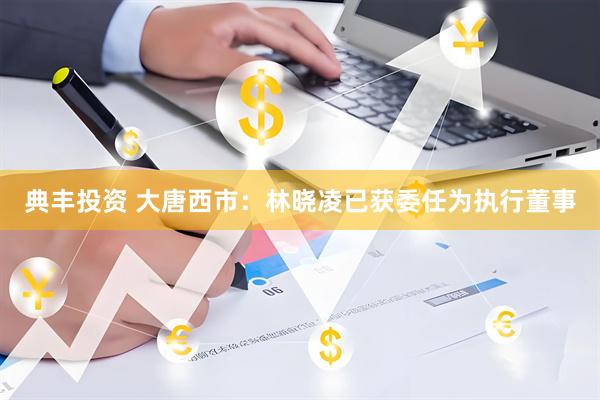 典丰投资 大唐西市：林晓凌已获委任为执行董事