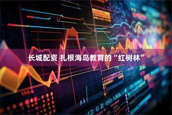 长城配资 扎根海岛教育的“红树林”
