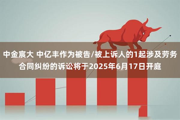 中金宸大 中亿丰作为被告/被上诉人的1起涉及劳务合同纠纷的诉讼将于2025年6月17日开庭