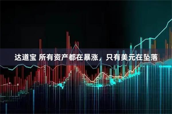 达道宝 所有资产都在暴涨,只有美元在坠落