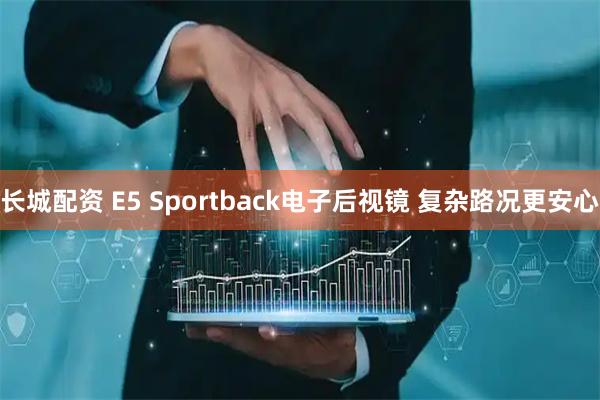 长城配资 E5 Sportback电子后视镜 复杂路况更安心